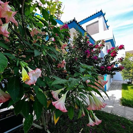 Sicci Villa Near The Airport & Sea Atina Dış mekan fotoğraf